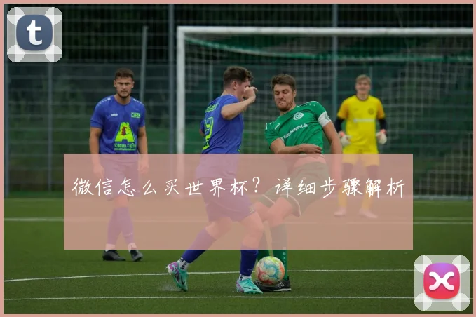 微信怎么买世界杯？详细步骤解析