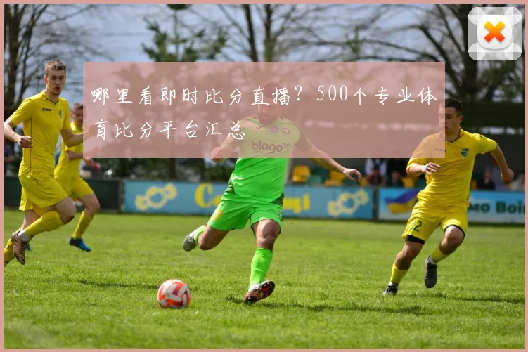 哪里看即时比分直播？500个专业体育比分平台汇总