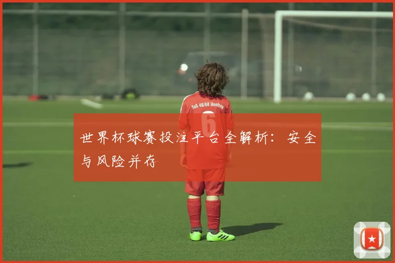 世界杯球赛投注平台全解析：安全与风险并存