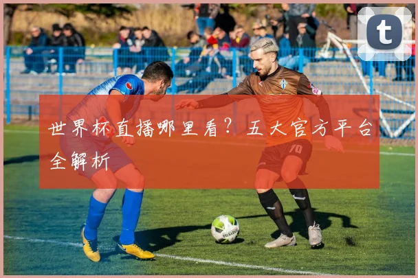 世界杯直播哪里看?五大官方平台全解析
