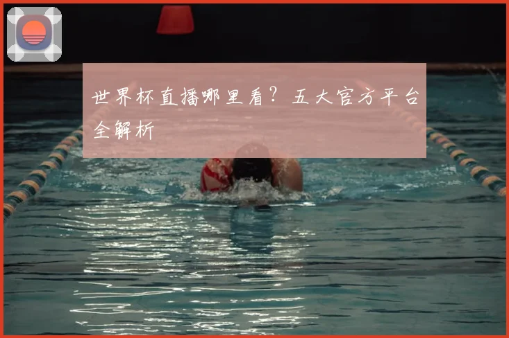 世界杯直播哪里看?五大官方平台全解析