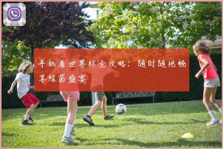 手机看世界杯全攻略：随时随地畅享绿茵盛宴