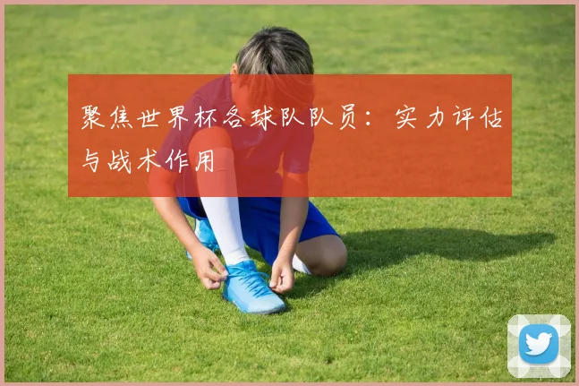 聚焦世界杯各球队队员：实力评估与战术作用