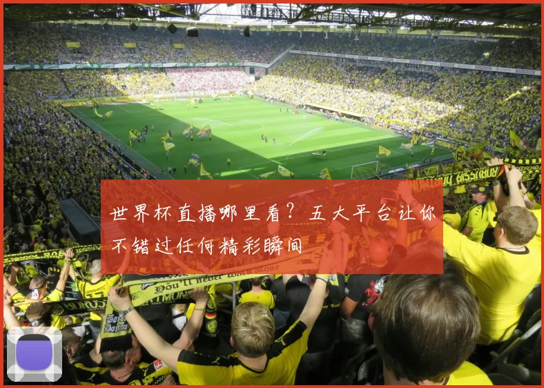 世界杯直播哪里看?五大平台让你不错过任何精彩瞬间