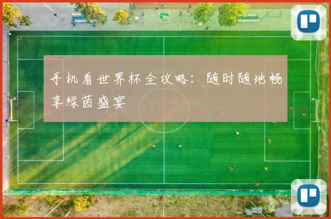 手机看世界杯全攻略：随时随地畅享绿茵盛宴