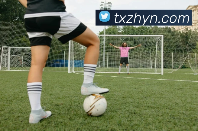 开云app官方版在线入口品牌故事